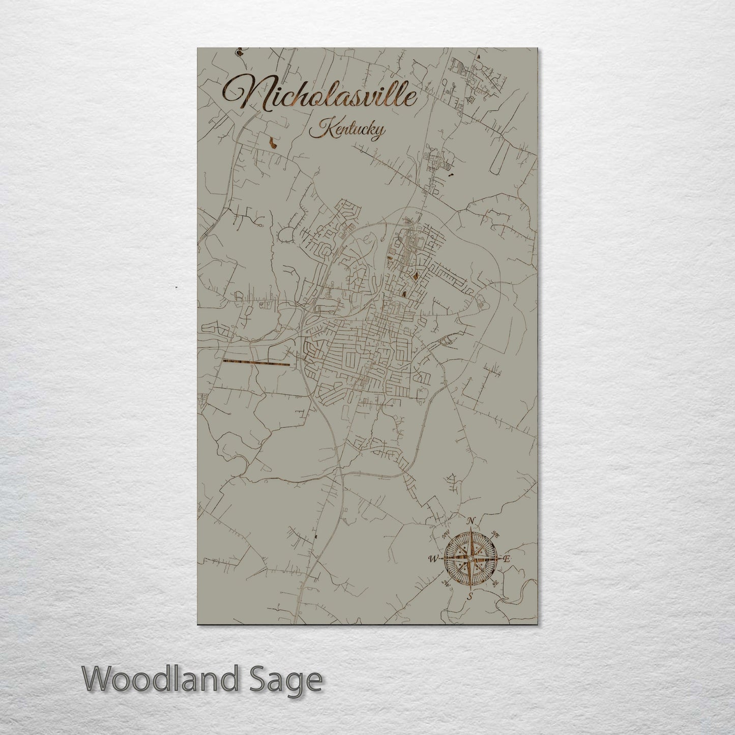 Nicholasville, Kentucky Street Map