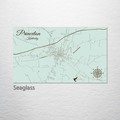 Princeton, Kentucky Street Map