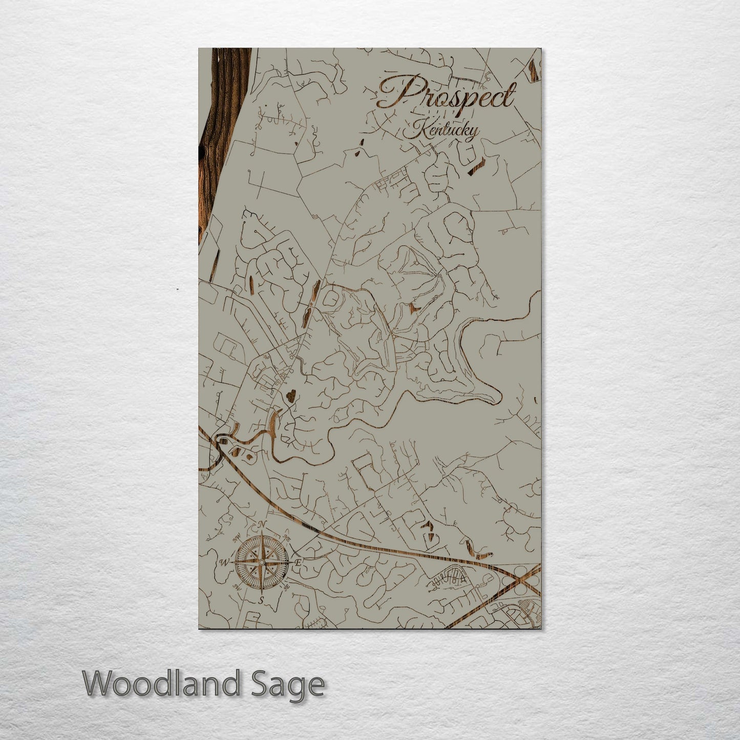 Prospect, Kentucky Street Map