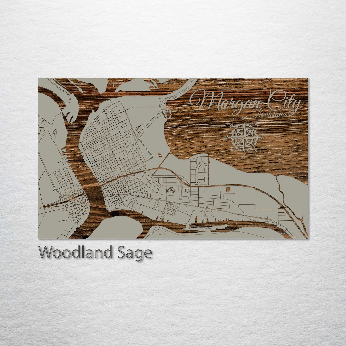 Morgan City, Louisiana Street Map