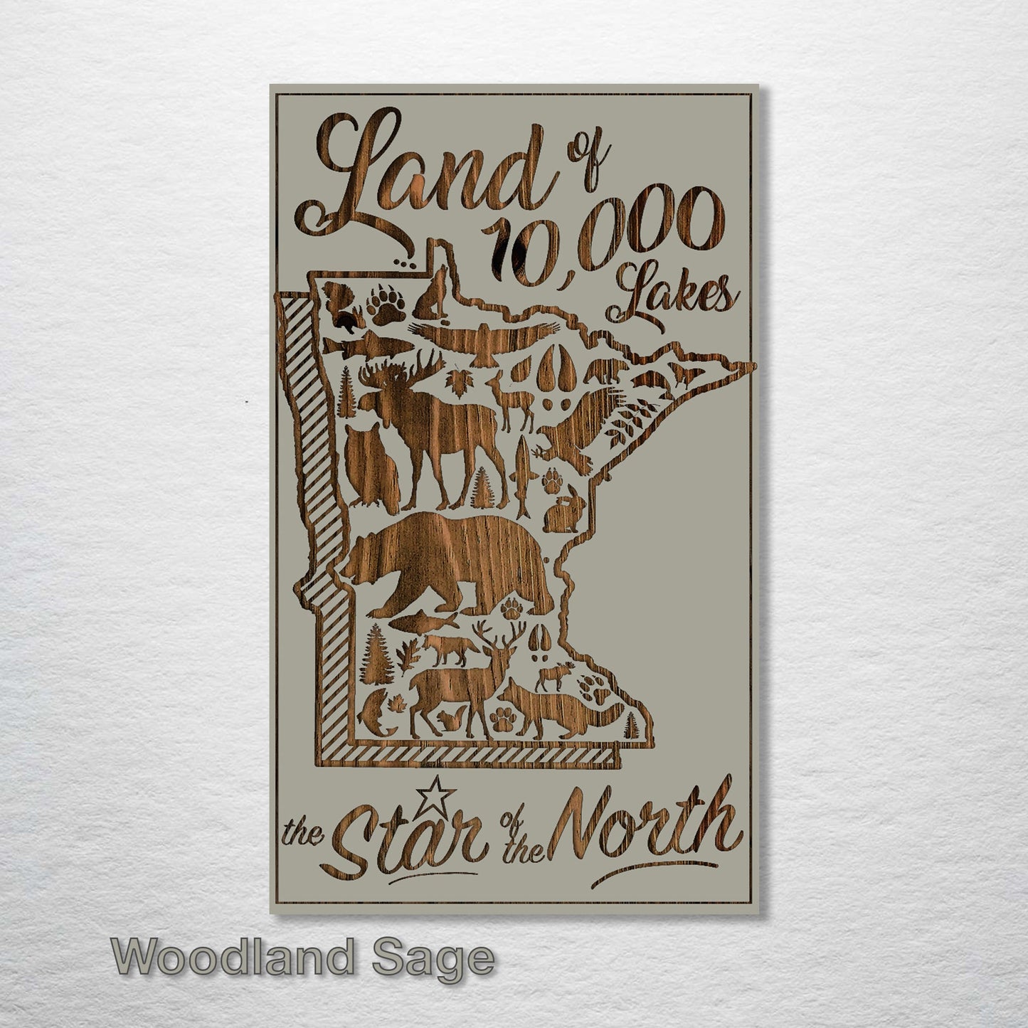 Minnesota Abstract - Star of the North