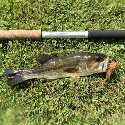 Open Waters