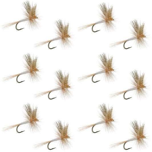 Light Cahill Classic Trout Dry Fly Fishing Fly - 1 Dozen Flies Size 14