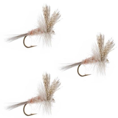 3 Pack Light Hendrickson Classic Dry Fly - Size 16