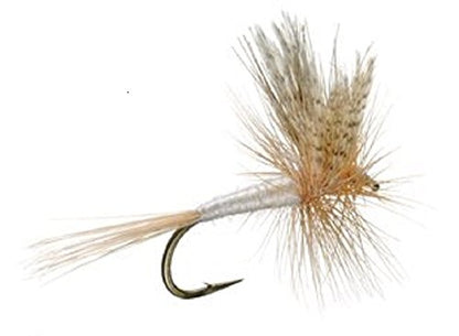 Light Cahill Classic Trout Dry Fly Fishing Flies - Set of 6 Flies Size 12