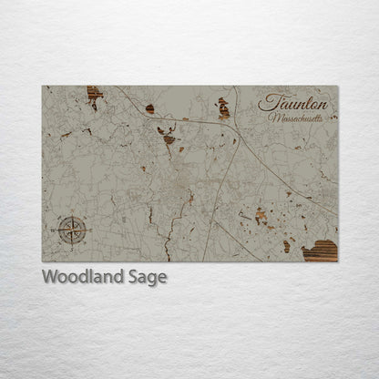 Taunton, Massachusetts Street Map