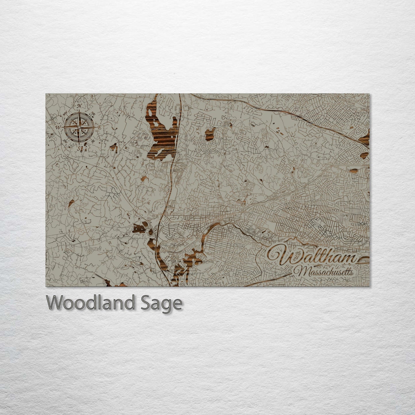 Waltham, Massachusetts Street Map