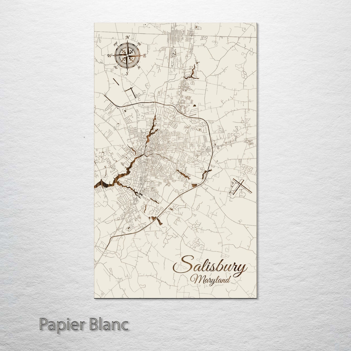 Salisbury, Maryland Street Map