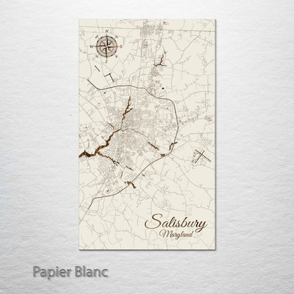 Salisbury, Maryland Street Map
