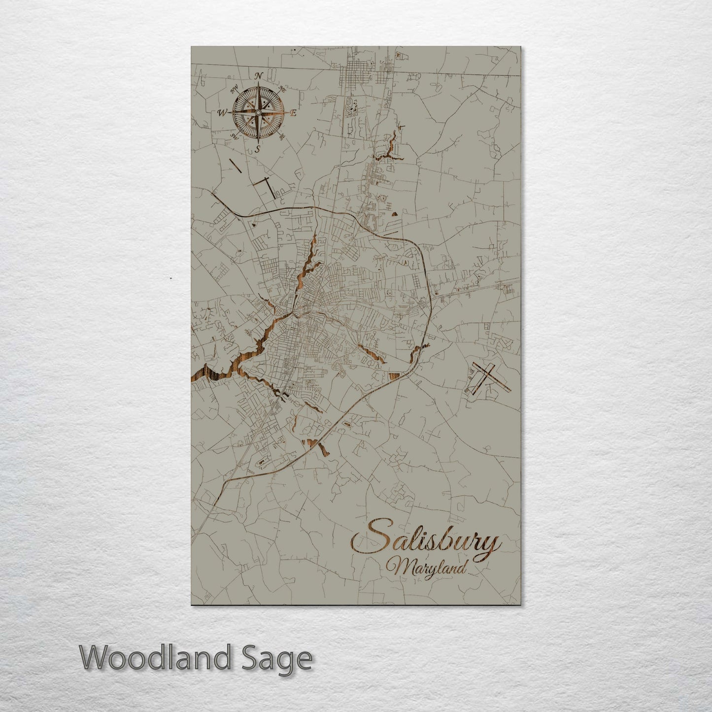 Salisbury, Maryland Street Map