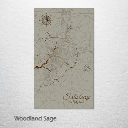 Salisbury, Maryland Street Map