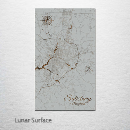 Salisbury, Maryland Street Map