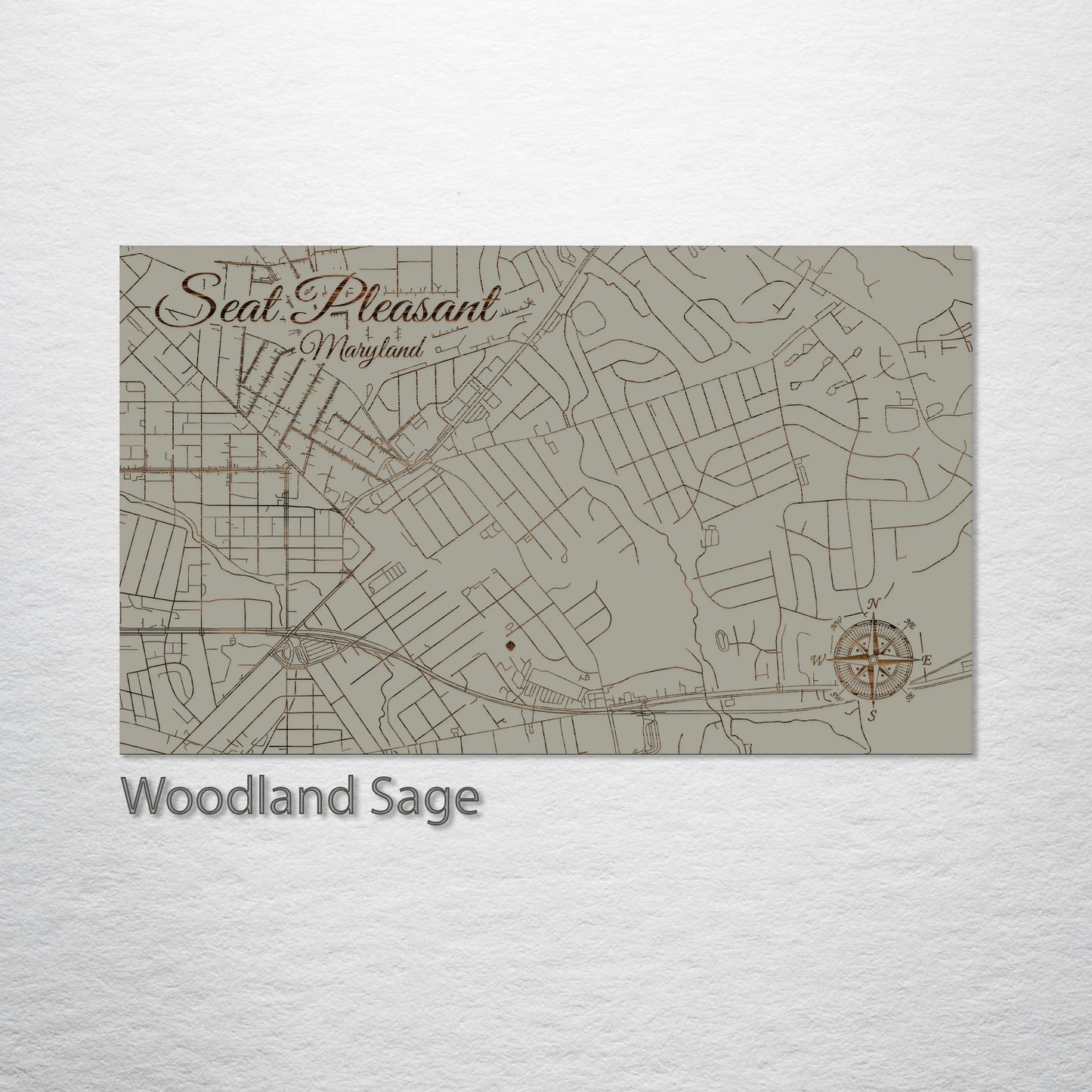 Seat Pleasant, Maryland Street Map