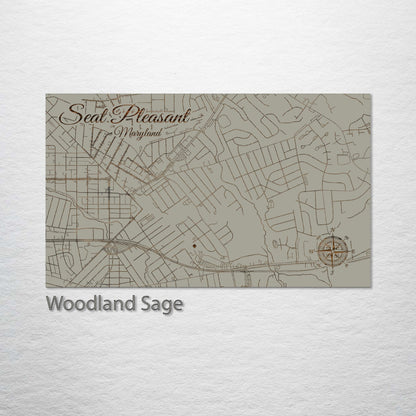 Seat Pleasant, Maryland Street Map