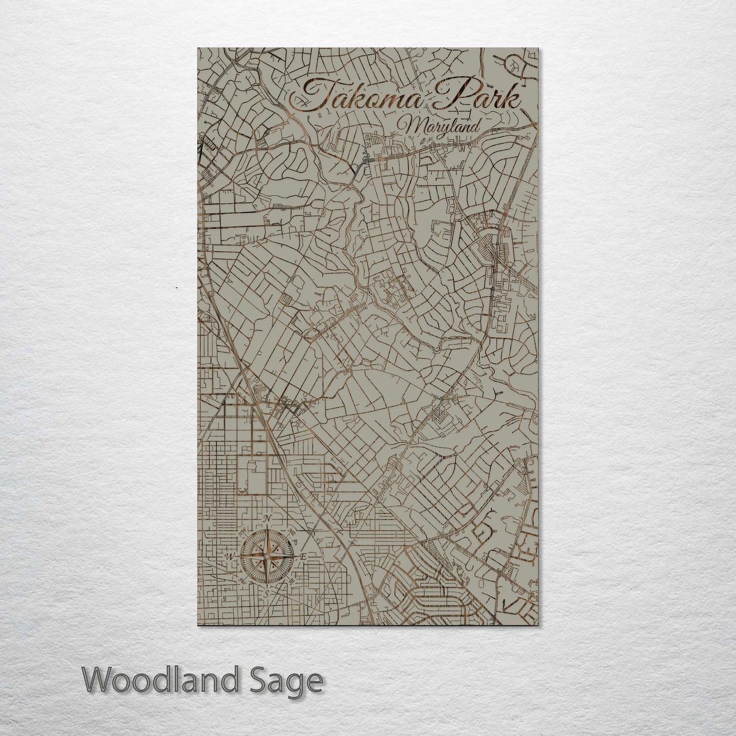 Takoma Park, Maryland Street Map