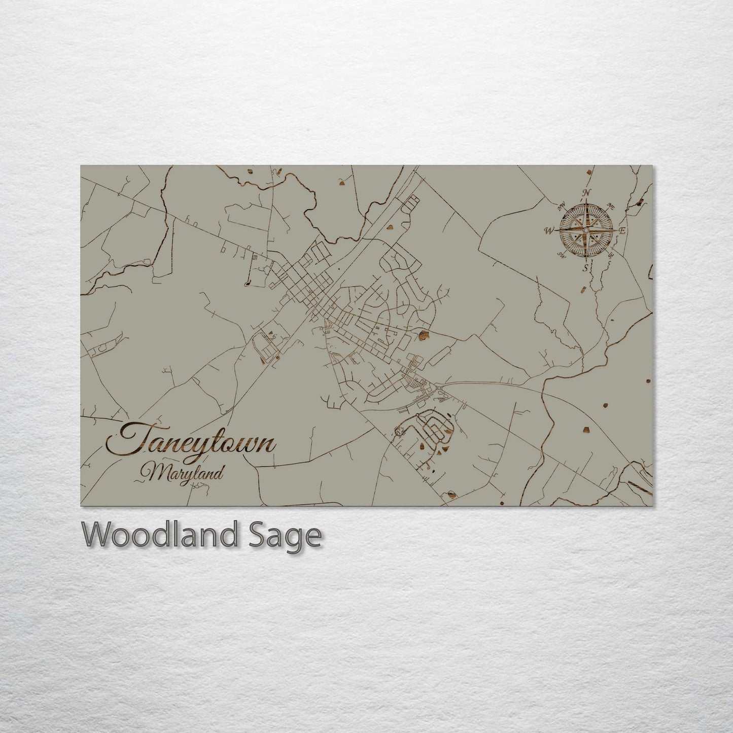 Taneytown, Maryland Street Map