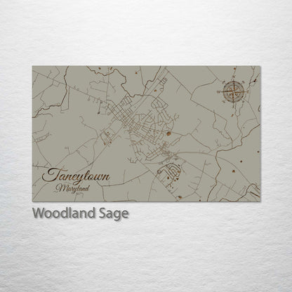 Taneytown, Maryland Street Map