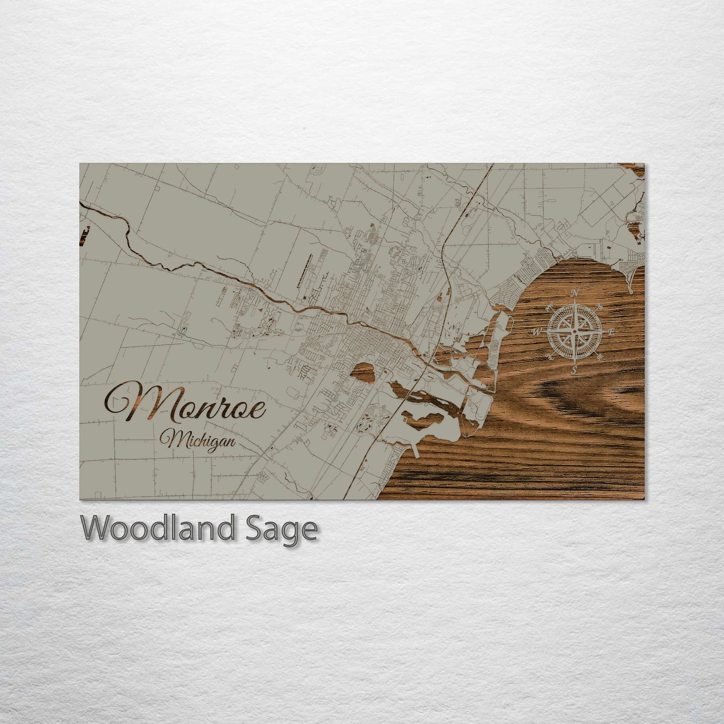 Monroe, Michigan Street Map