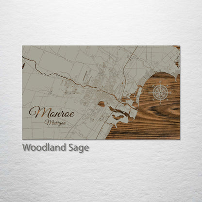 Monroe, Michigan Street Map