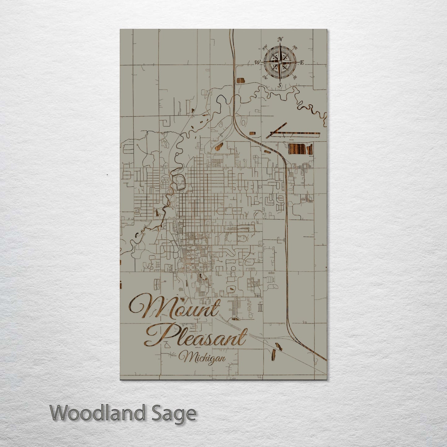 Mount Pleasant, Michigan Street Map