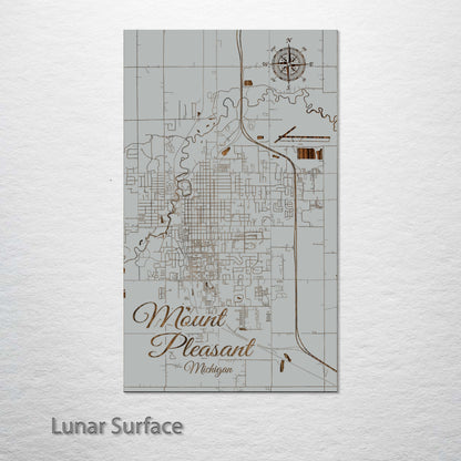 Mount Pleasant, Michigan Street Map