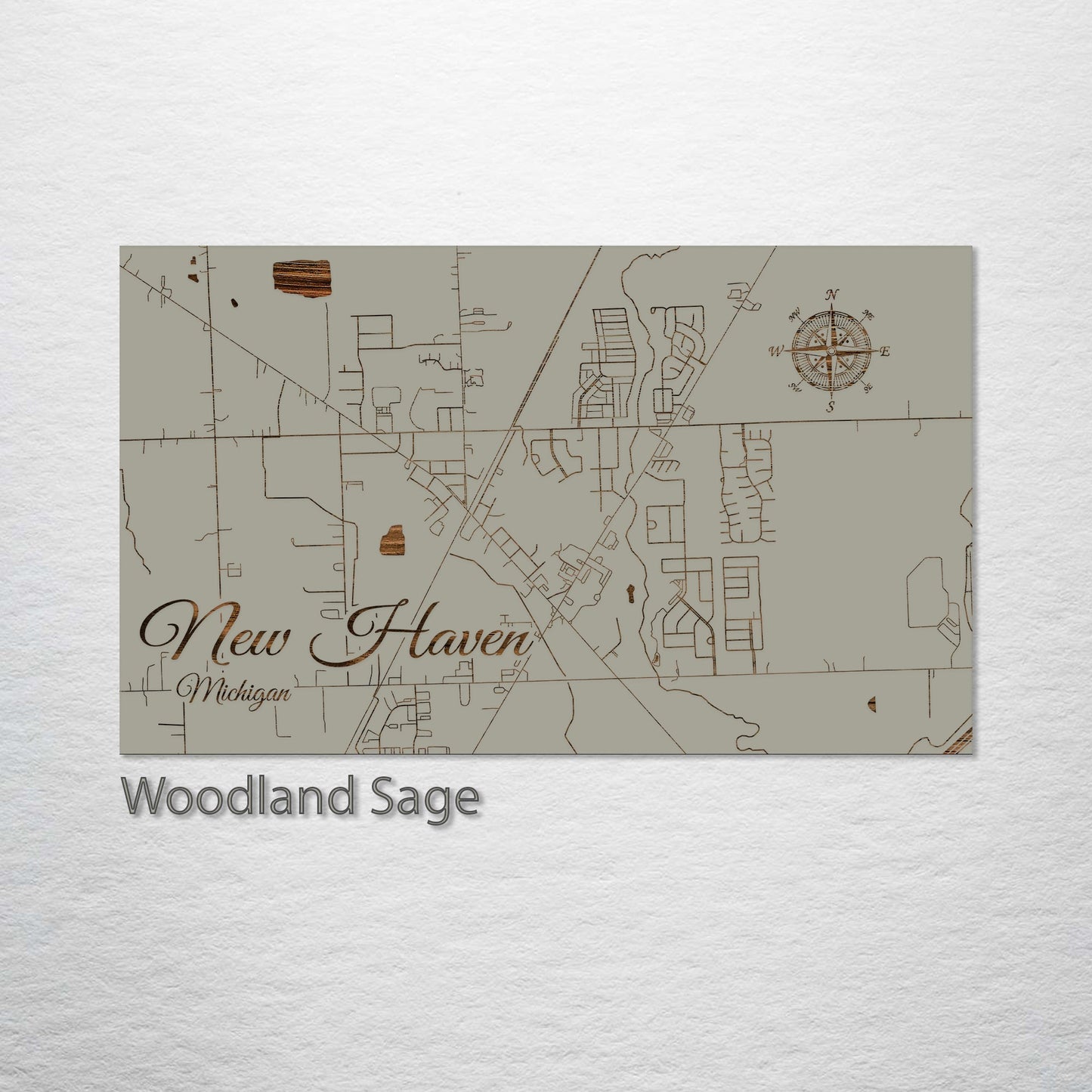 New Haven, Michigan Street Map