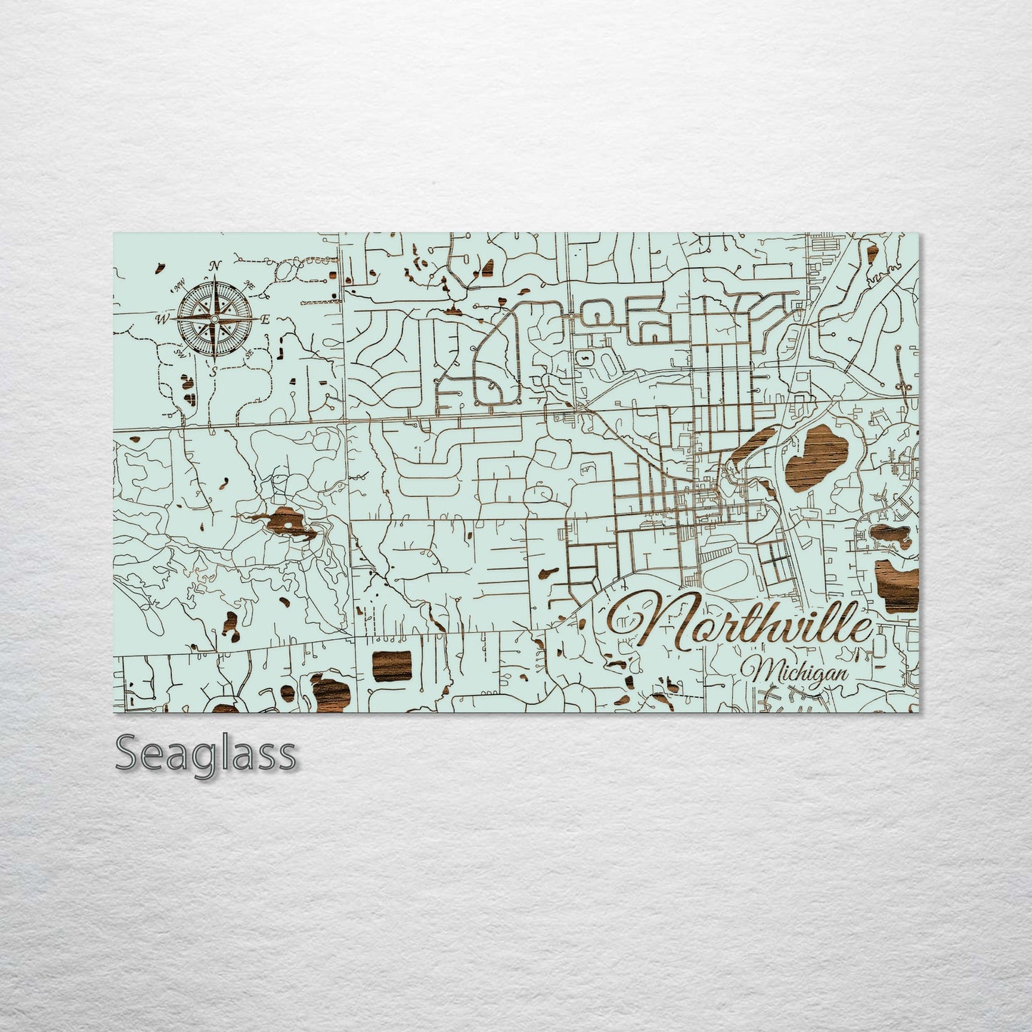 Northville, Michigan Street Map