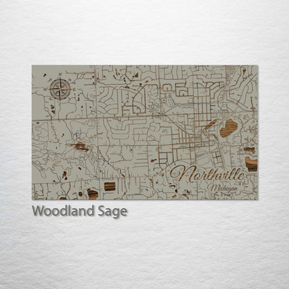 Northville, Michigan Street Map