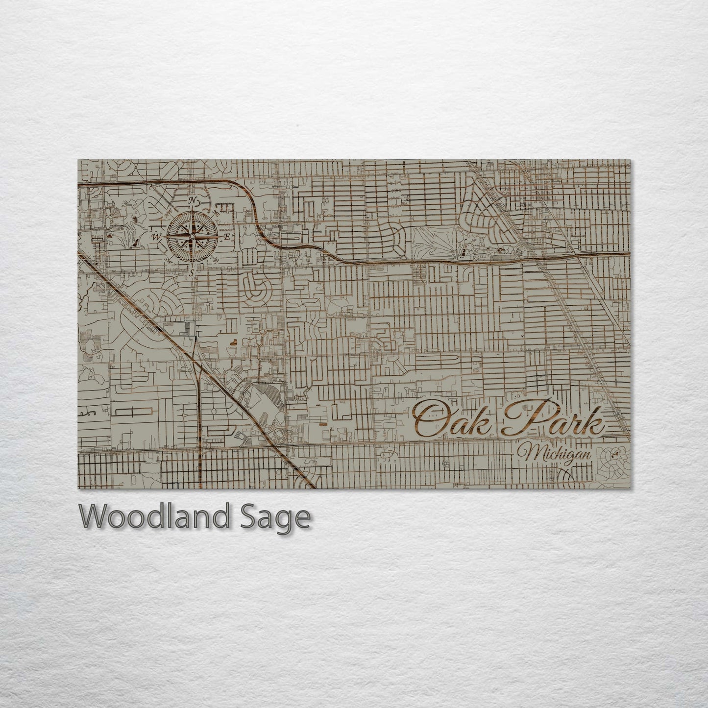 Oak Park, Michigan Street Map