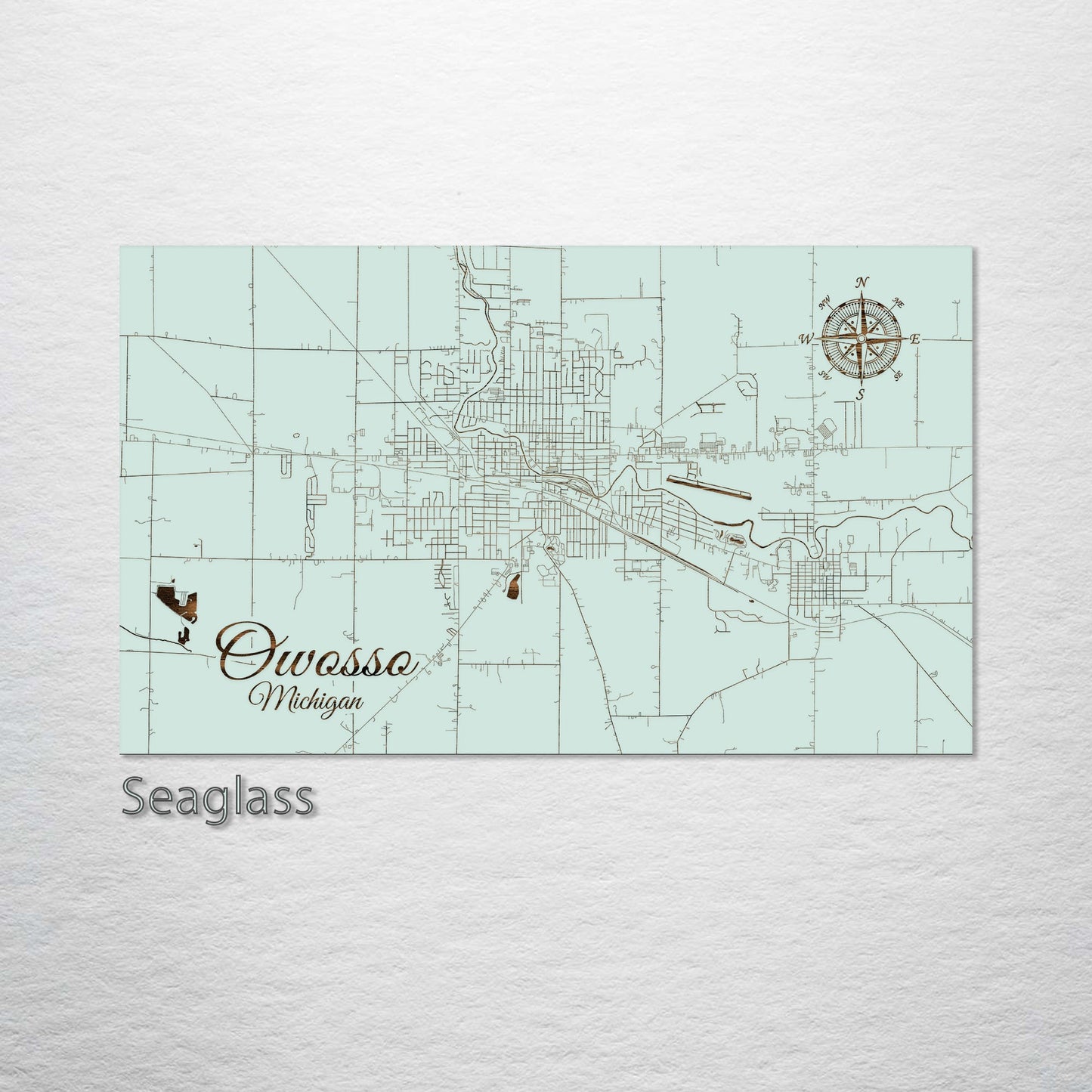 Owosso, Michigan Street Map