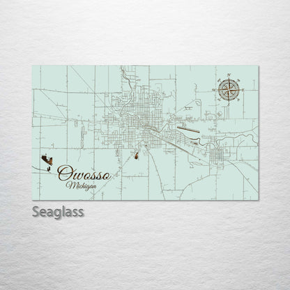 Owosso, Michigan Street Map