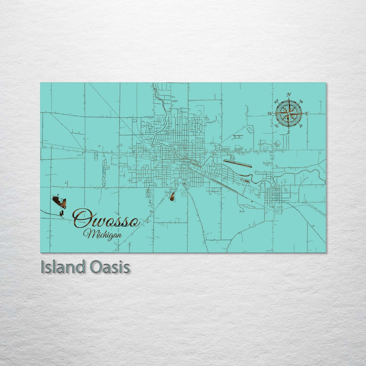 Owosso, Michigan Street Map