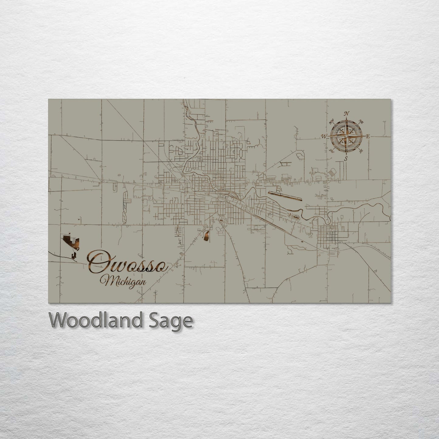 Owosso, Michigan Street Map