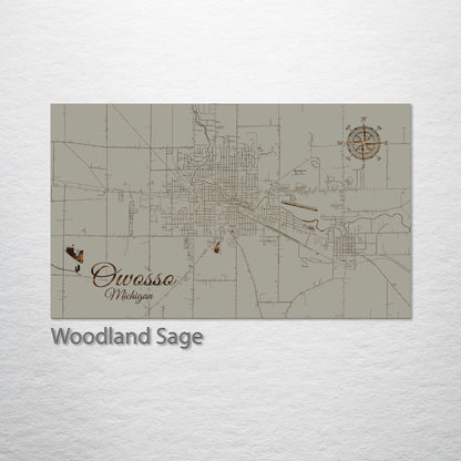 Owosso, Michigan Street Map