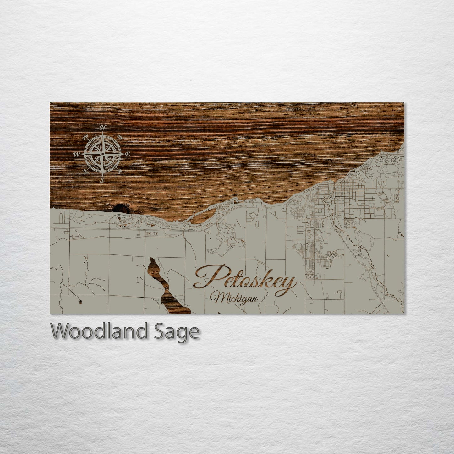 Petoskey, Michigan Street Map