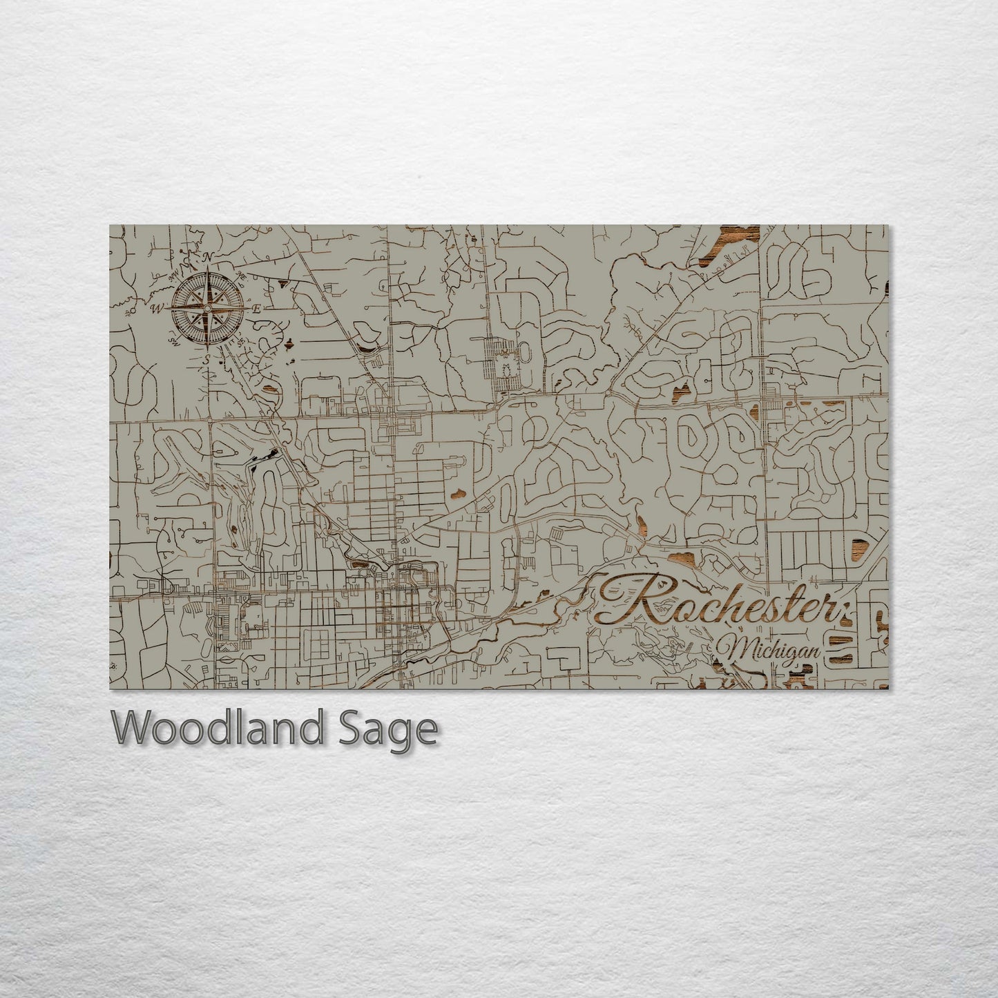 Rochester, Michigan Street Map