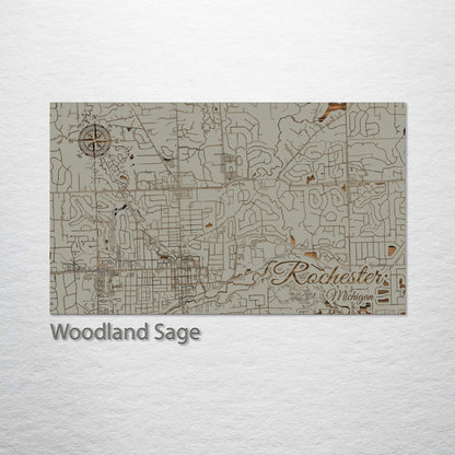 Rochester, Michigan Street Map