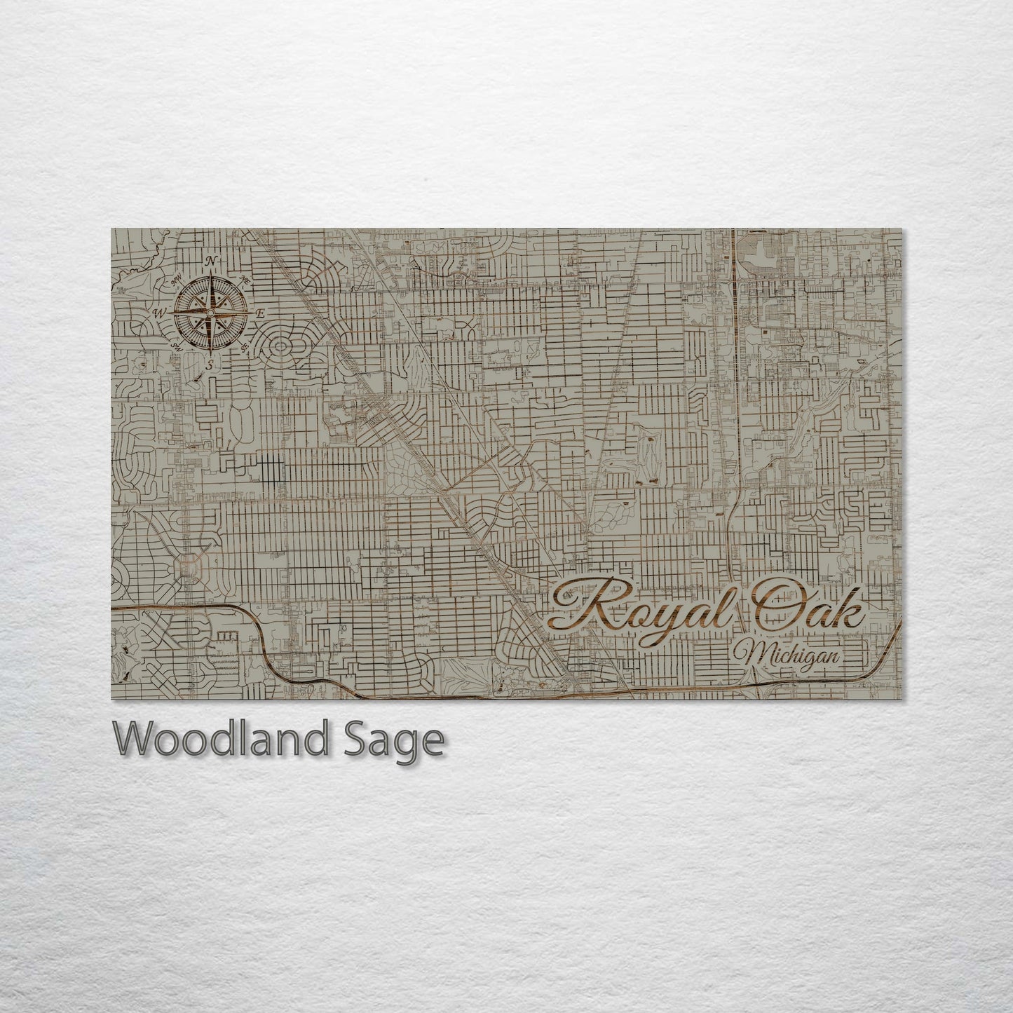 Royal Oak, Michigan Street Map