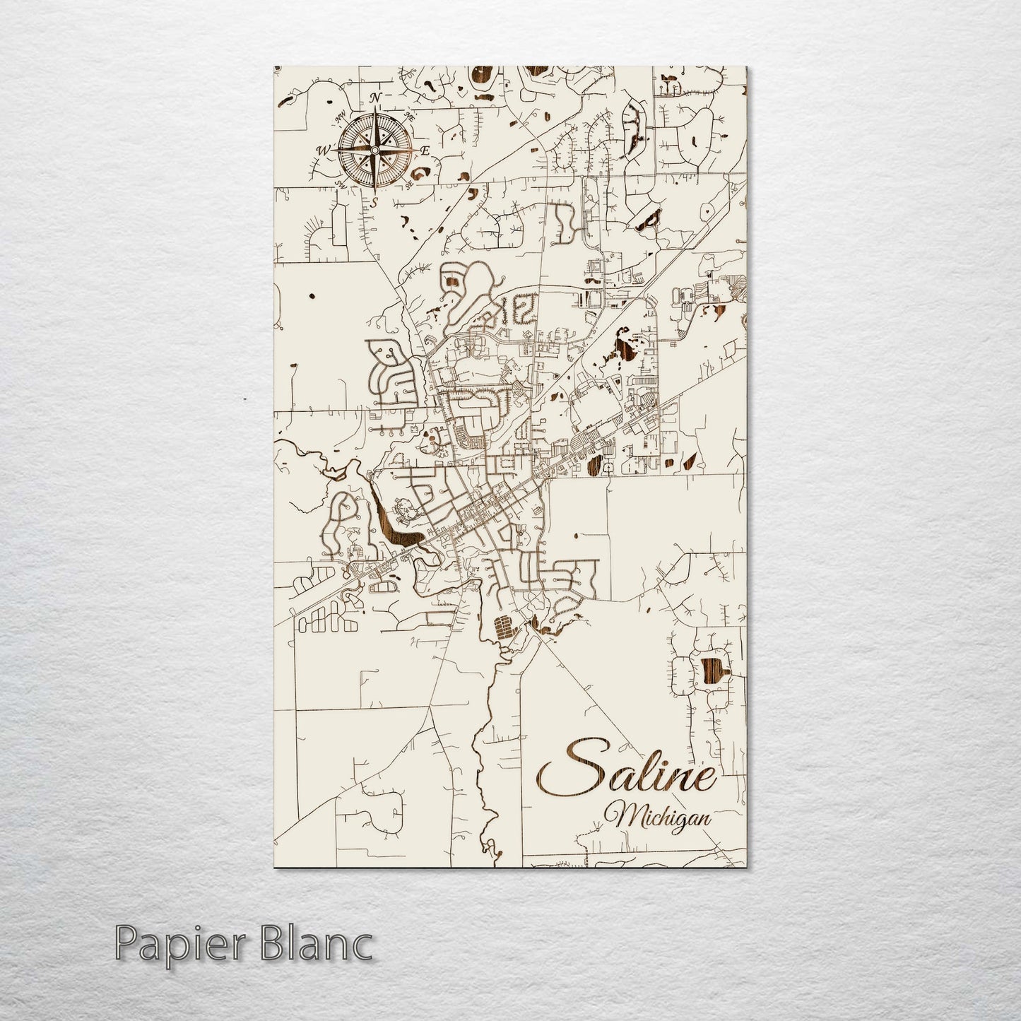 Saline, Michigan Street Map