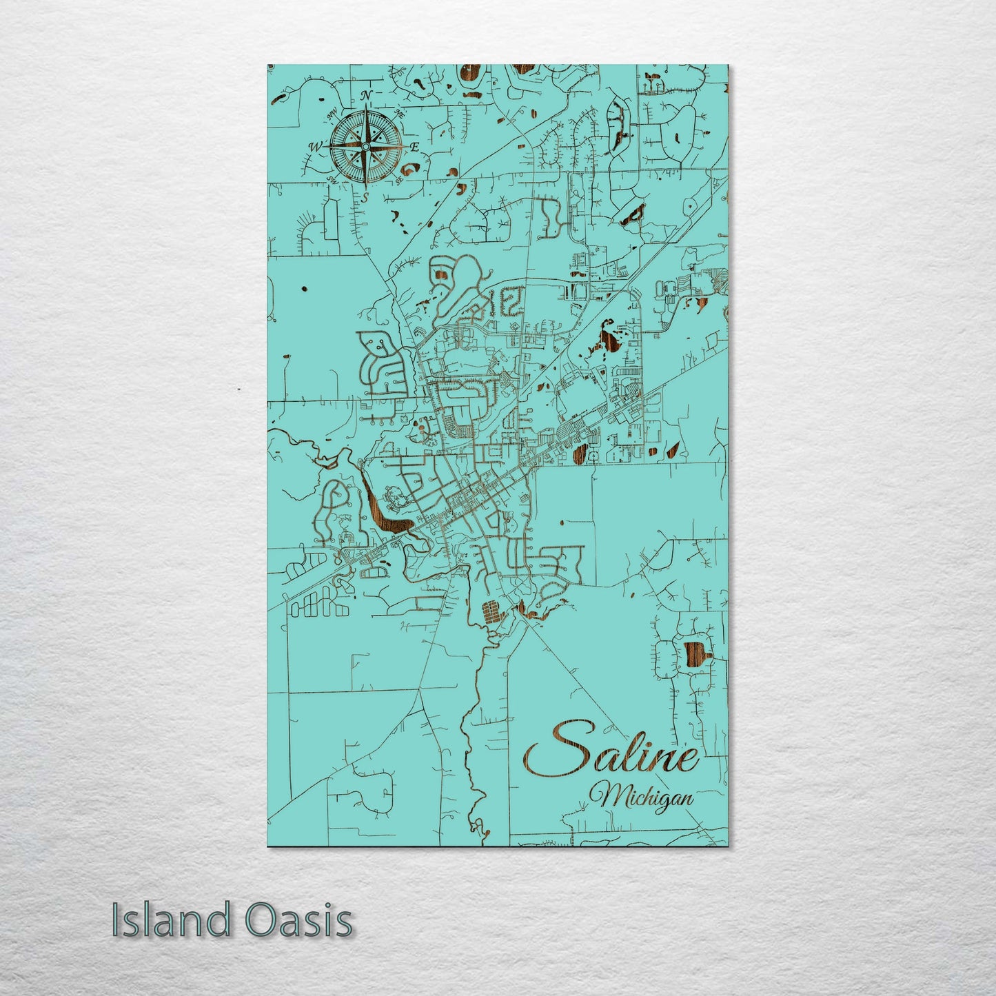 Saline, Michigan Street Map