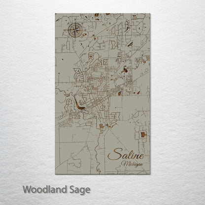 Saline, Michigan Street Map
