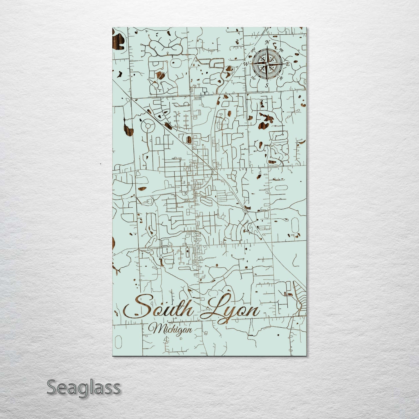 South Lyon, Michigan Street Map