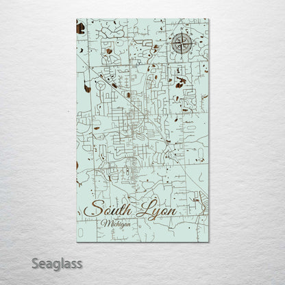 South Lyon, Michigan Street Map