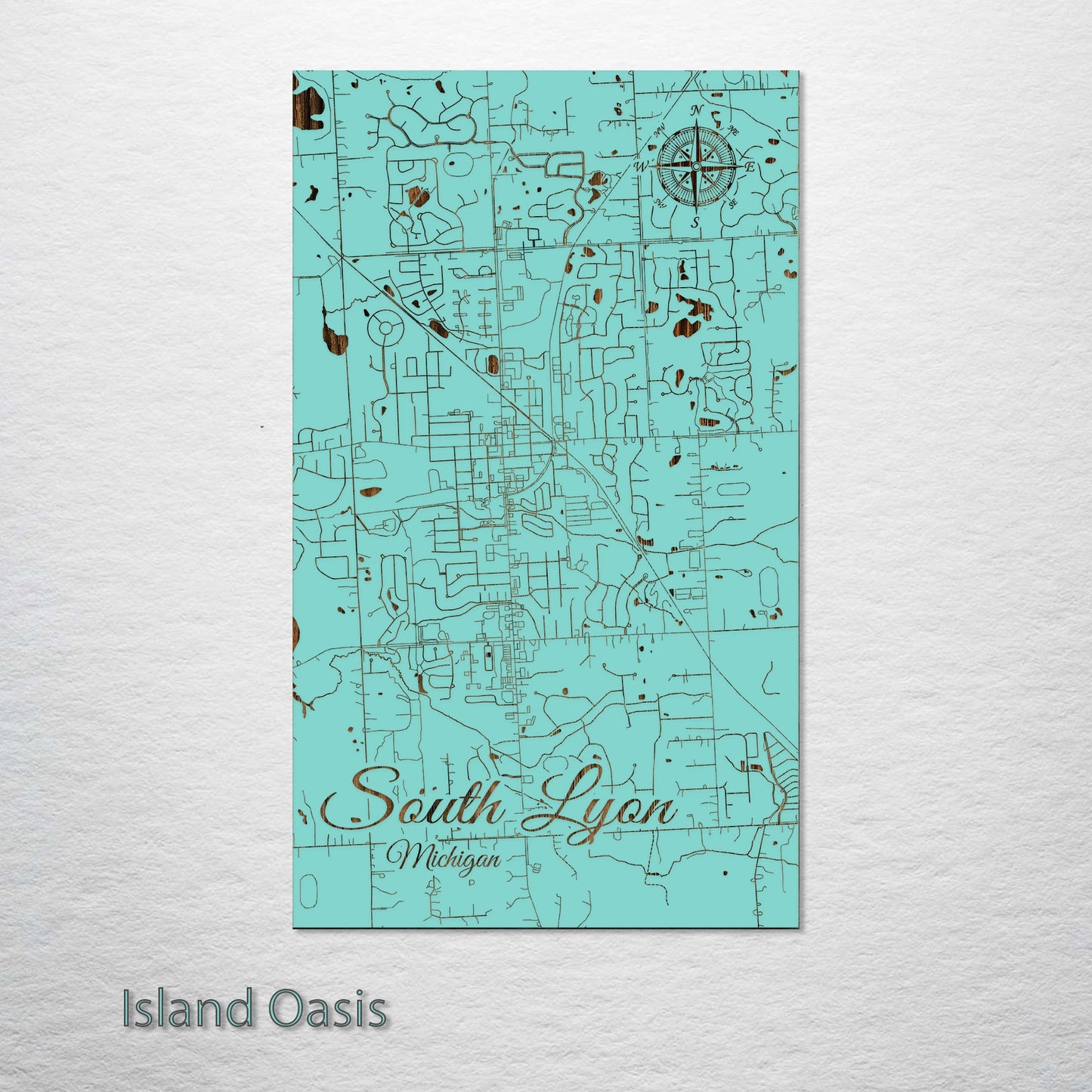 South Lyon, Michigan Street Map