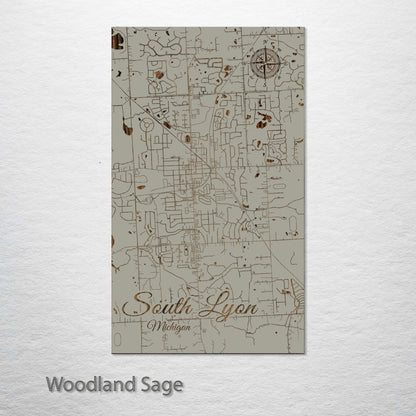South Lyon, Michigan Street Map