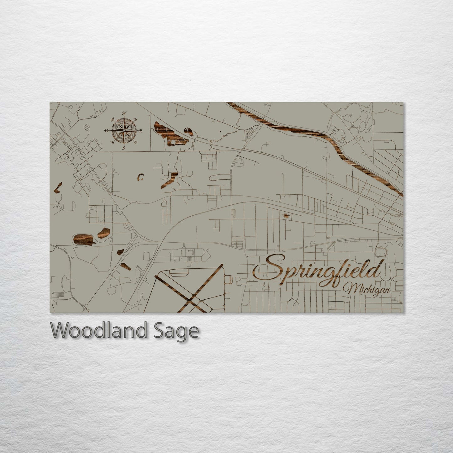 Springfield, Michigan Street Map