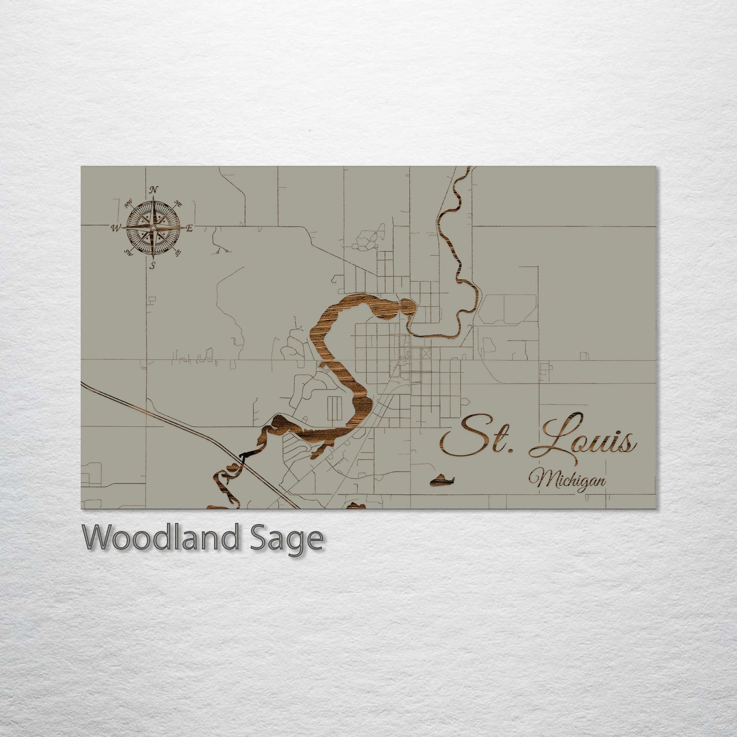 St. Louis, Michigan Street Map