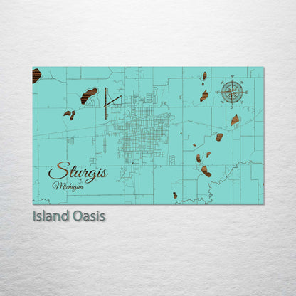 Sturgis, Michigan Street Map