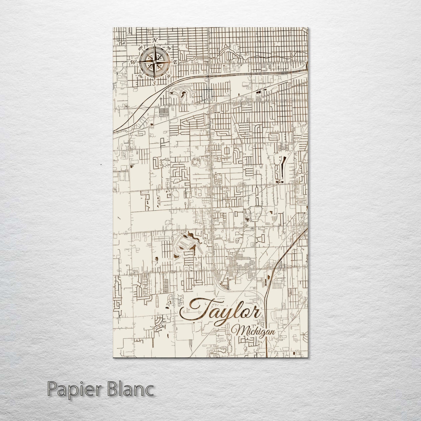 Taylor, Michigan Street Map