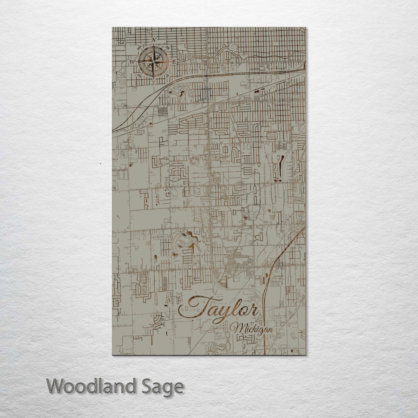 Taylor, Michigan Street Map